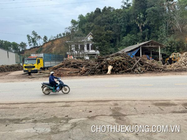 Transfer of forest product processing factory in Tram Than, Phu Ninh, Phu Tho