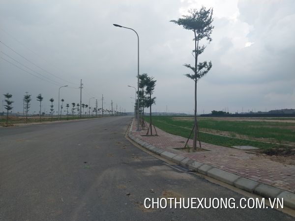 Transfer from 1ha of industrial land in Binh Xuyen Industrial Park, Vinh Phuc