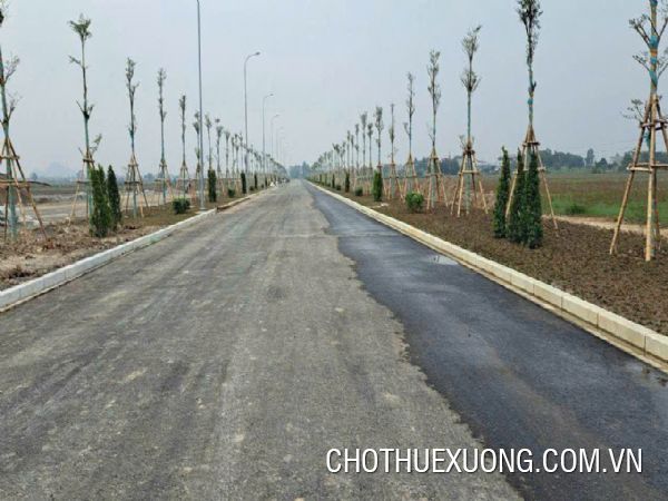 Chuyển nhượng đất từ 1 ha tại CCN Diamond Complex – Yên Bằng, Nam Định