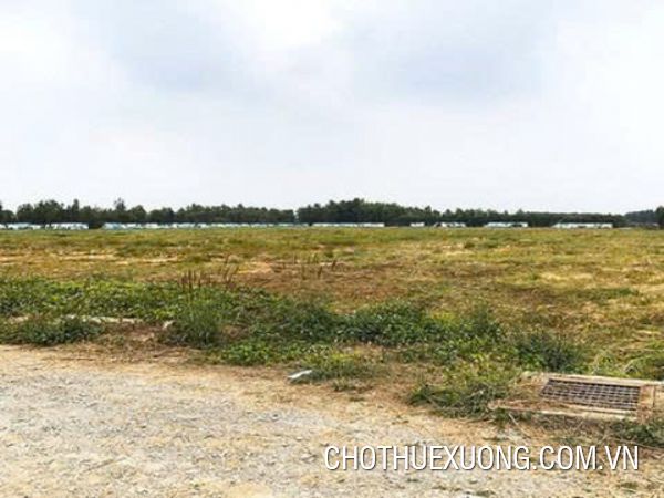 Cho thuê mặt bằng 4ha Mỹ Hào-Hưng Yên