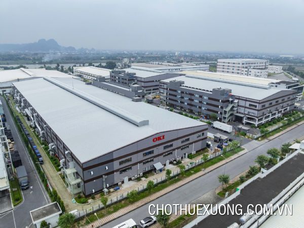 Cho thuê nhà xưởng trong KCN Tràng Duệ- Hải Phòng