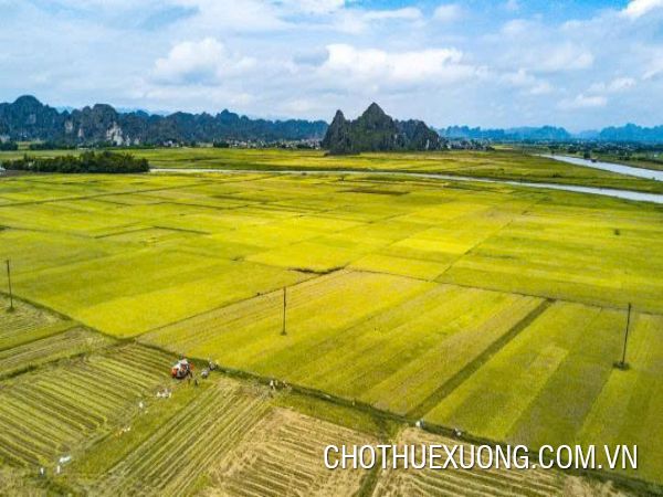 Chuyển nhượng đất dự án 15ha tại Chí Linh- Hải Dương