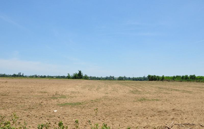 Cho thuê 6,2 ha đất trống lâu dài, giá tốt tại Cẩm Giàng – Hải Dương