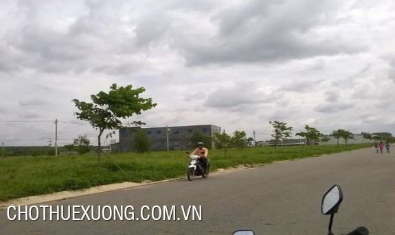 Cho thuê đất trống 5000m2 tại khu công nghiệp Tân Trường, Hải Dương 2