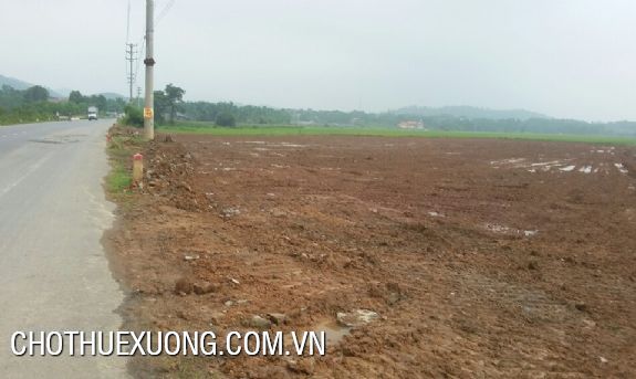 Vacant land for lease in Thanh Oai industrial zone, Hanoi 1
