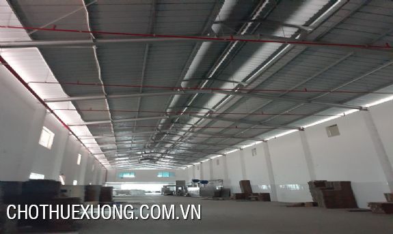 Modern factory for lease in Quoc Oai, Ha Noi 3