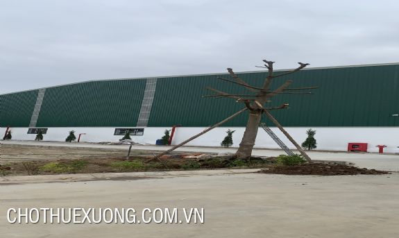 兴安省文江县4100平米厂房出租 2