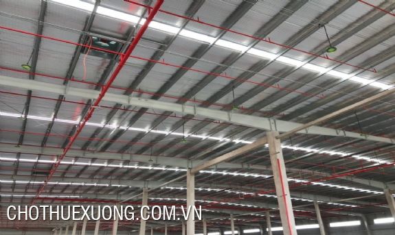 Nice factory area 1680m2 for rent in Thanh Liem- Ha Nam 2