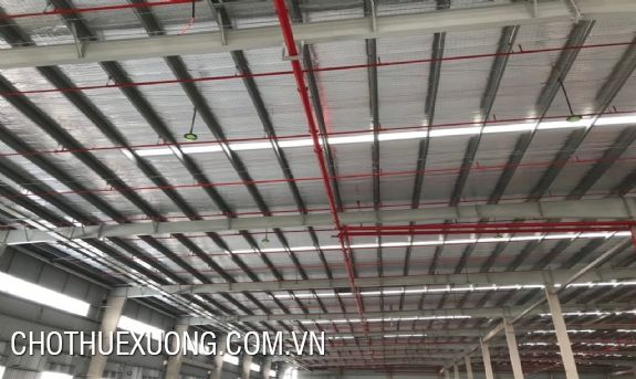 Nice factory area 1680m2 for rent in Thanh Liem- Ha Nam 4