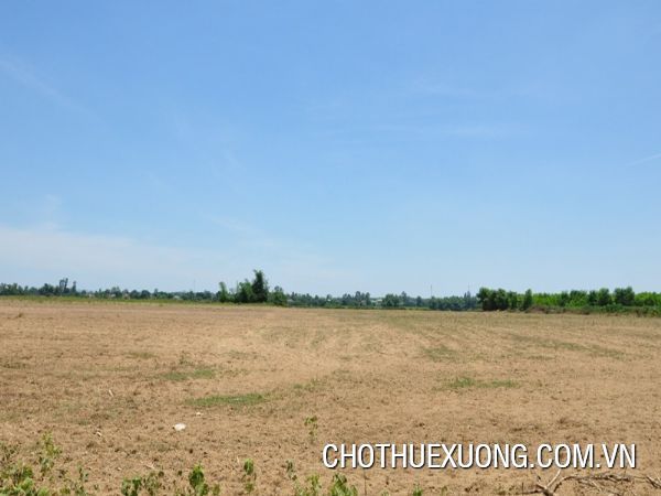 6.2 hectares of vacant land available for long-term lease at a good price in Cam Giang, Hai Duong