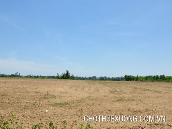 位於錦江省海陽市,6.2公頃空地長期出租,價格優惠