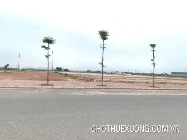 北江省 Doan Bai Danh Thang 工业园区土地从 5000 平方米转让至 3 公顷