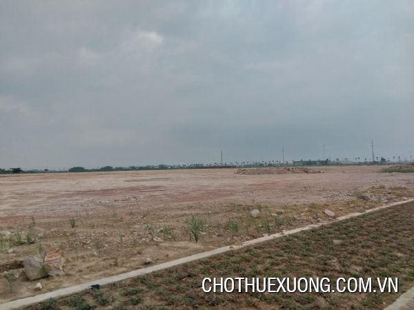 海陽省錦江縣錦興鄉6.2公頃土地轉讓